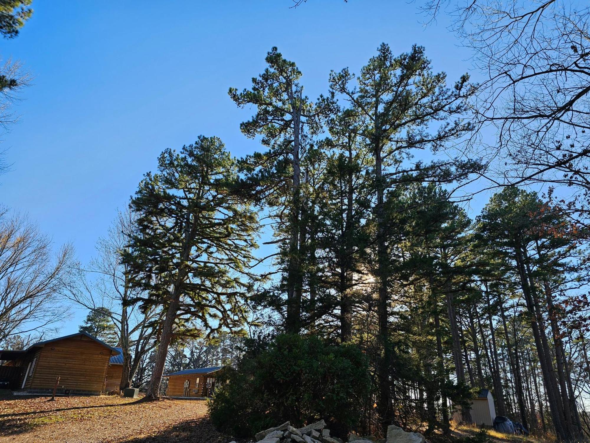 5 Min To Beaver Lake-King Bed-Fire Pit-Jetted Tub #4 Eureka Springs Exterior foto